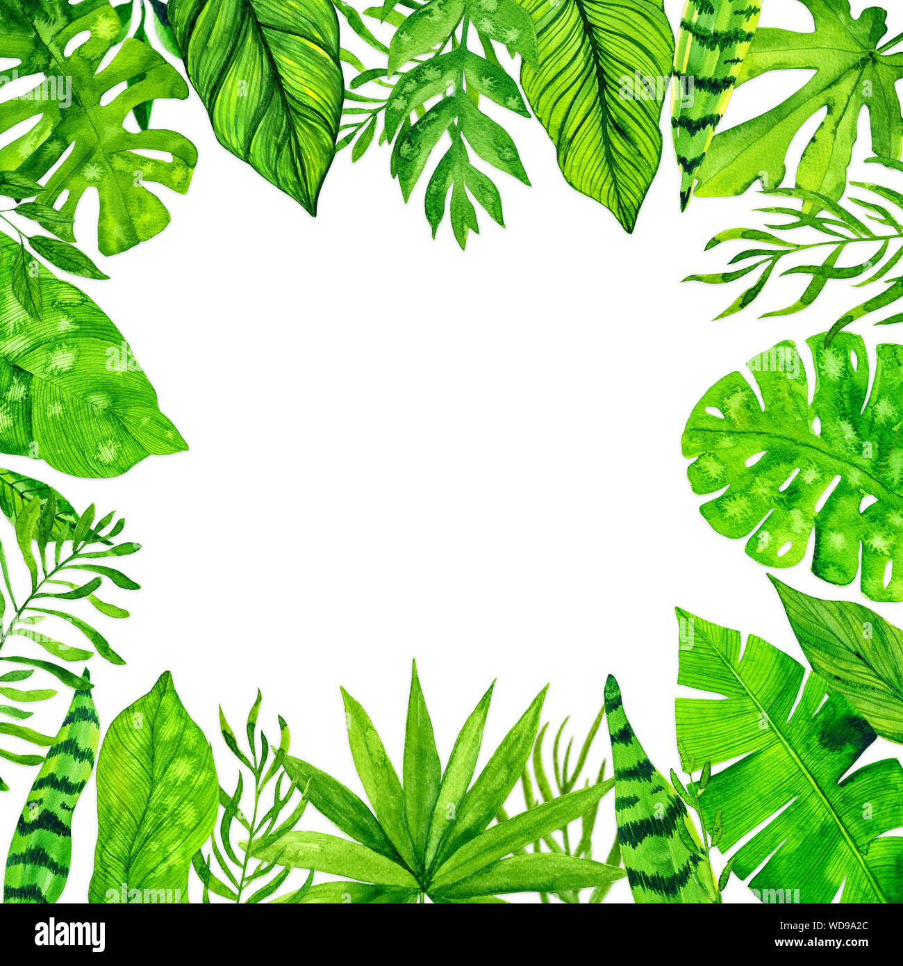 Tropical exotic leaves frame on white background. Watercolor illustration Stock Photo