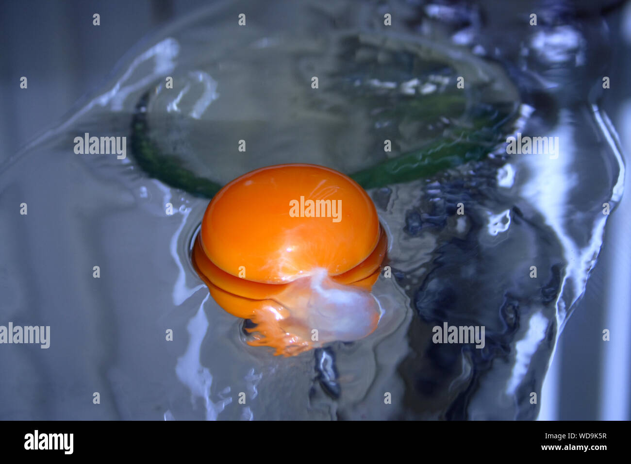 Egg Yolk Floating On Water Stock Photo