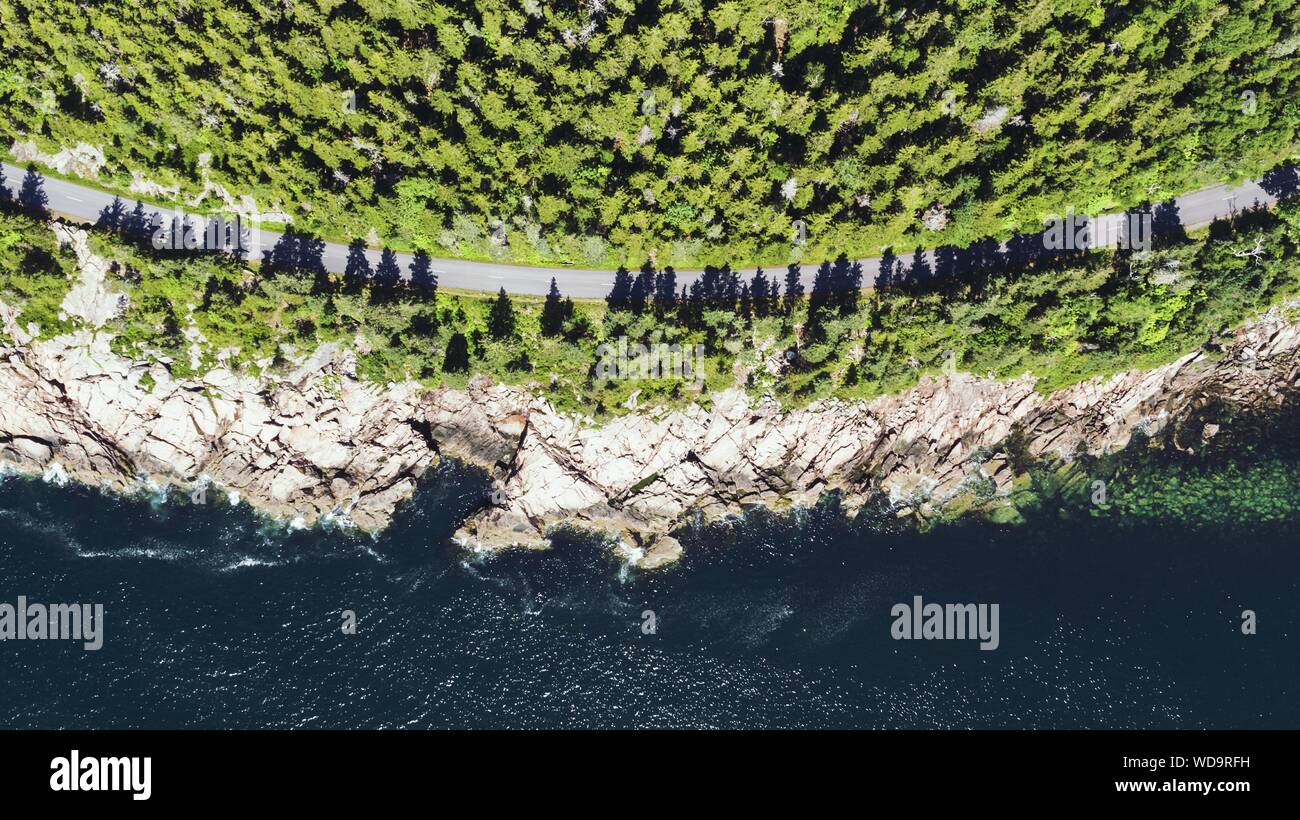 Trees Growing In Water Stock Photo Alamy