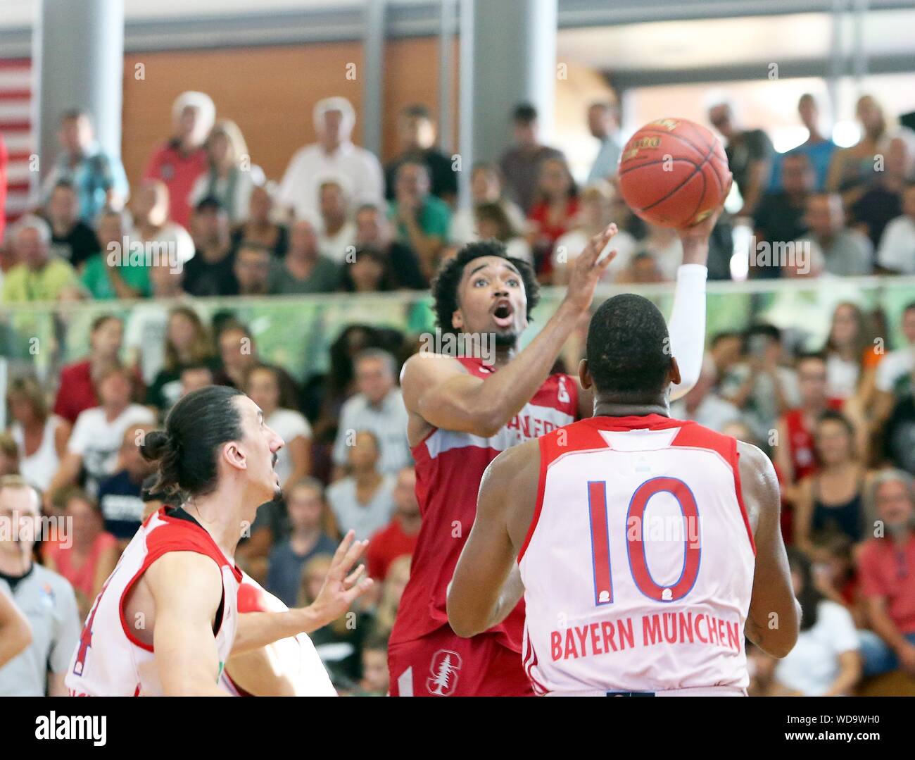 Rosenheim, Germnany. 27th Aug, 2019. in the middle Bryce WILLS (Stanford),  .mens Basketball, pre season friendly, Aug 27, 2019, FC Bayern Muenchen  Basketball vs Stanford University, Rosenheim, Gabor Hall, as first pre
