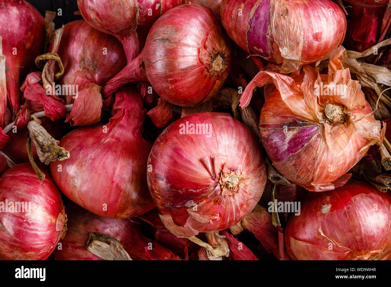 Shot Of Purple Onions. Fresh whole purple onions Stock Photo Alamy