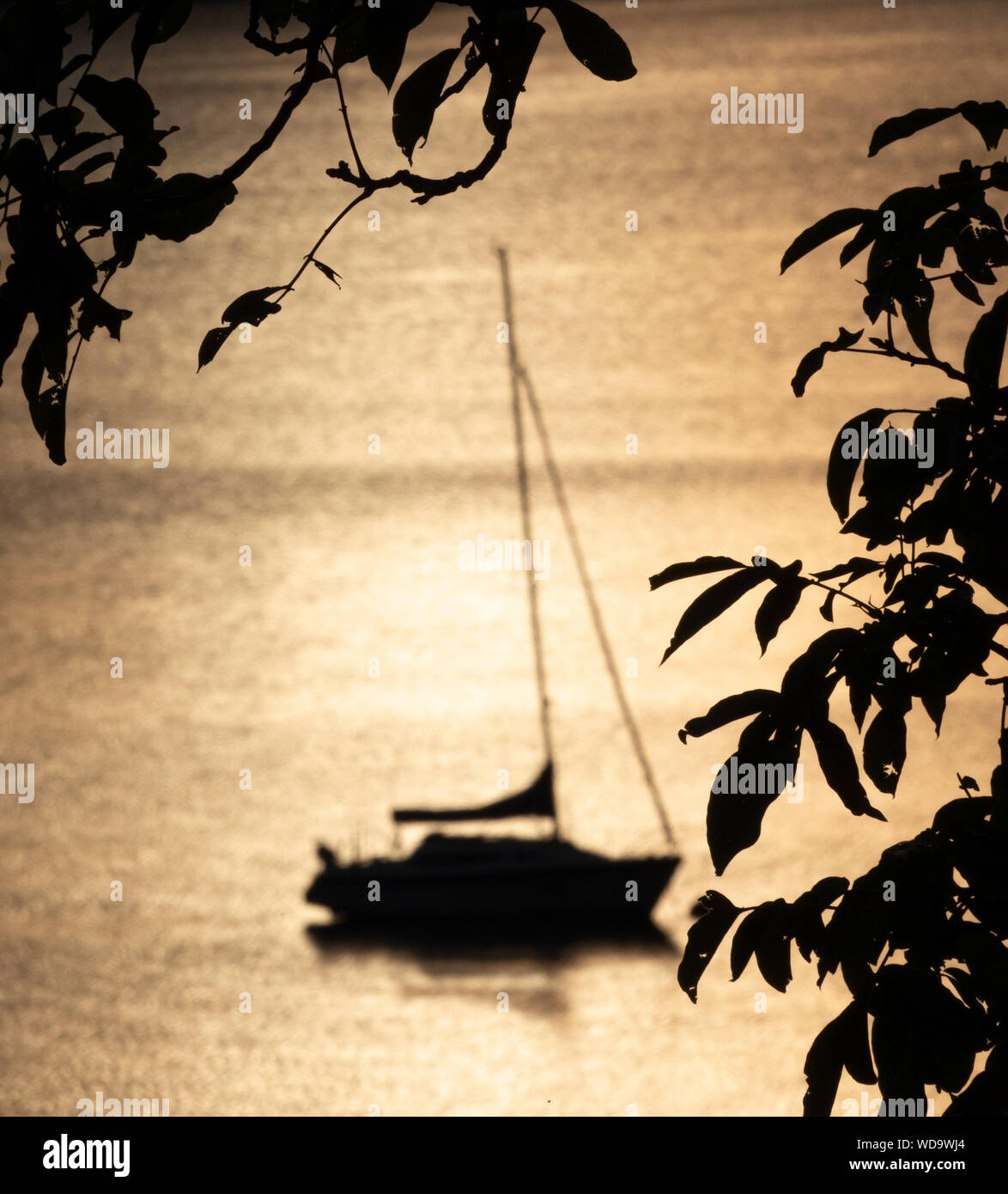 Silhouette of a sailing boat floating on a lake Stock Photo - Alamy