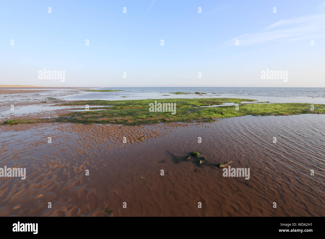 Sunny day at Titchwell Marsh and beach reserve, with blue skies, breenery, and a view of the horizon. Stock Photo