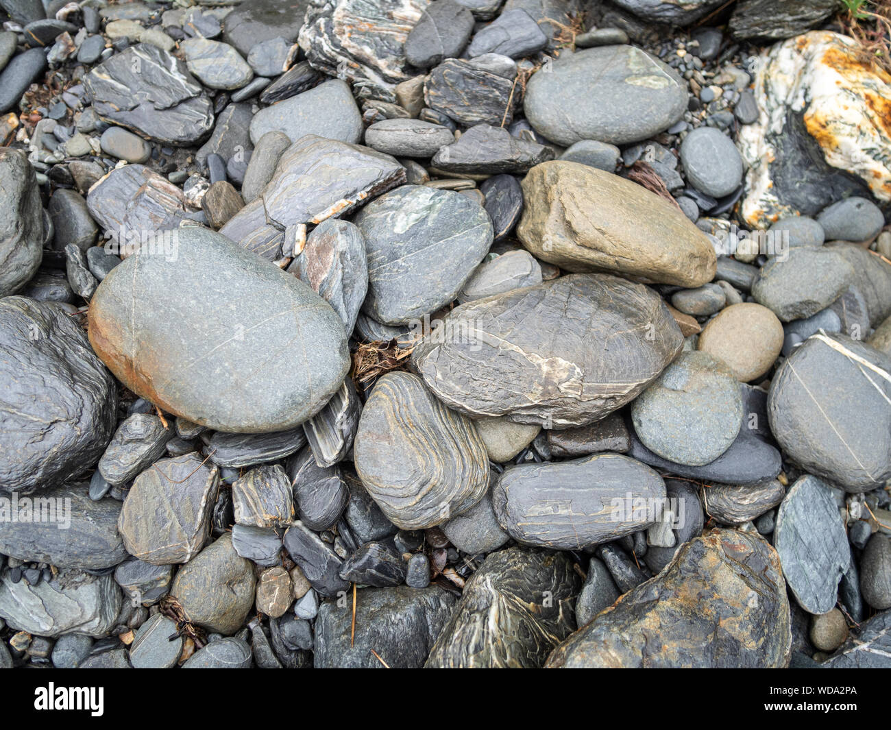 Grey pebbles on a beach, New Zealand Stock Photo