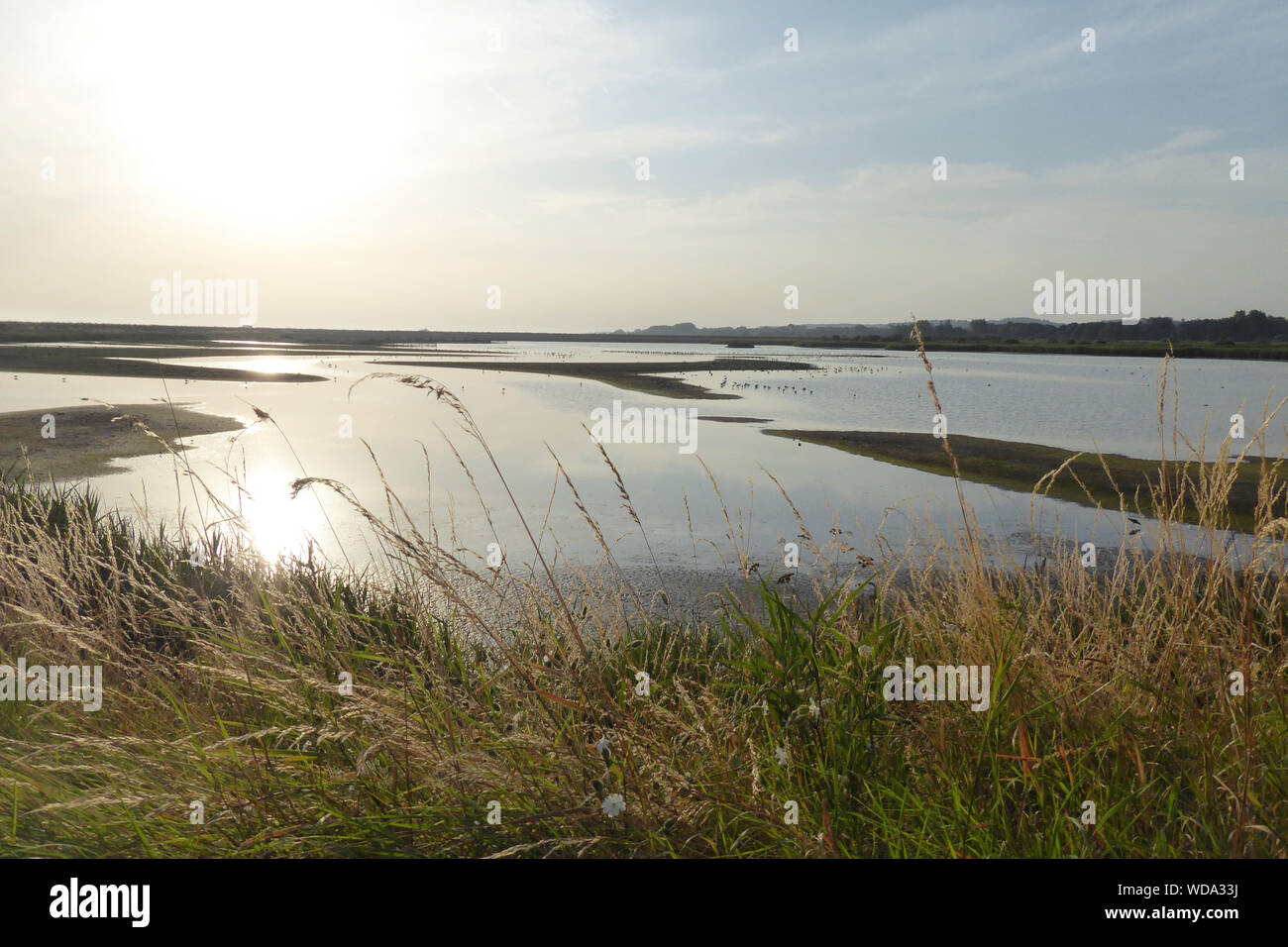 Titchwell Marsh and Beach reserve on a sunny day, north norfolk coast, UK. Stock Photo