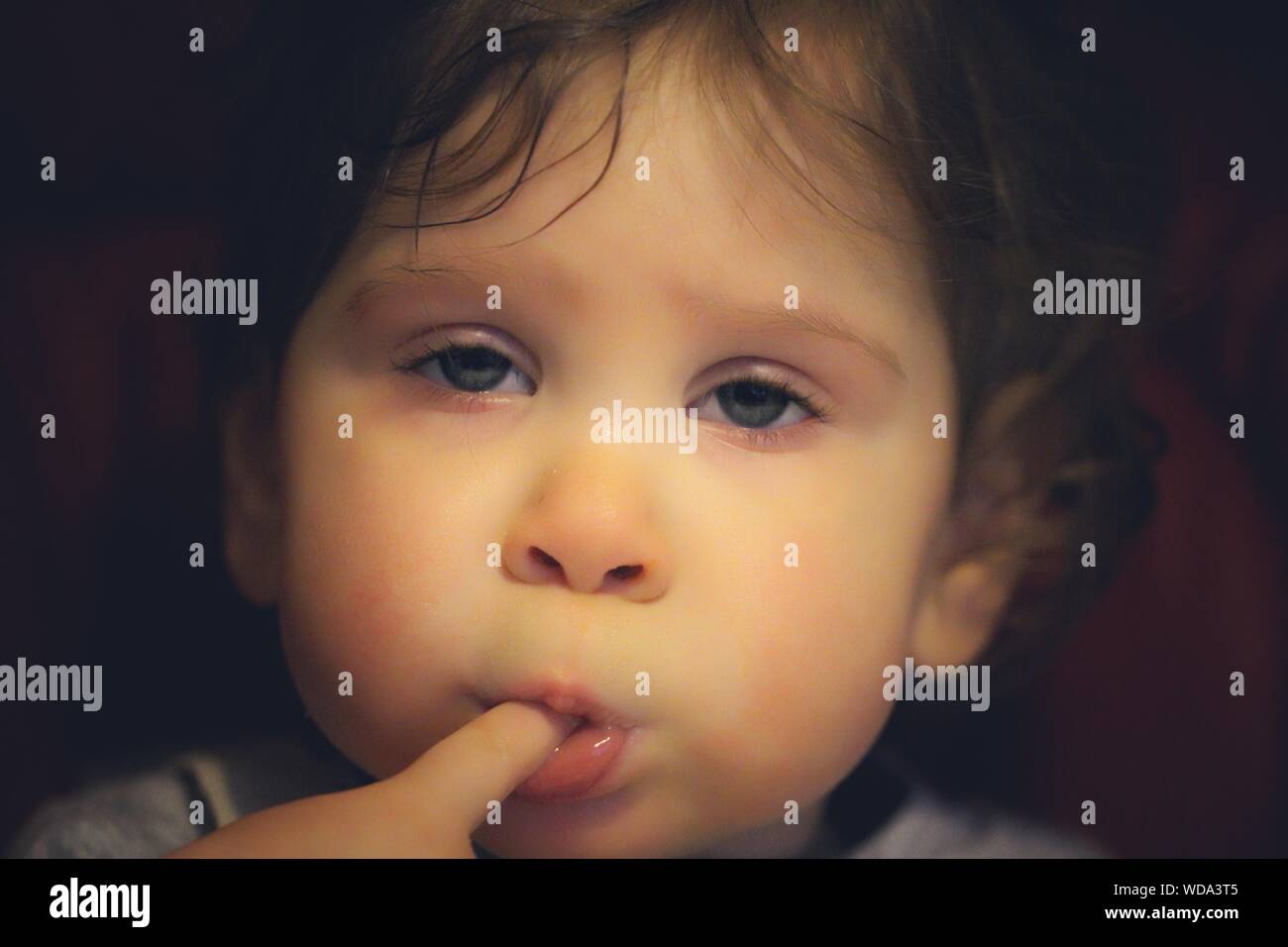 Tapping and Sucking Ginger main image 1