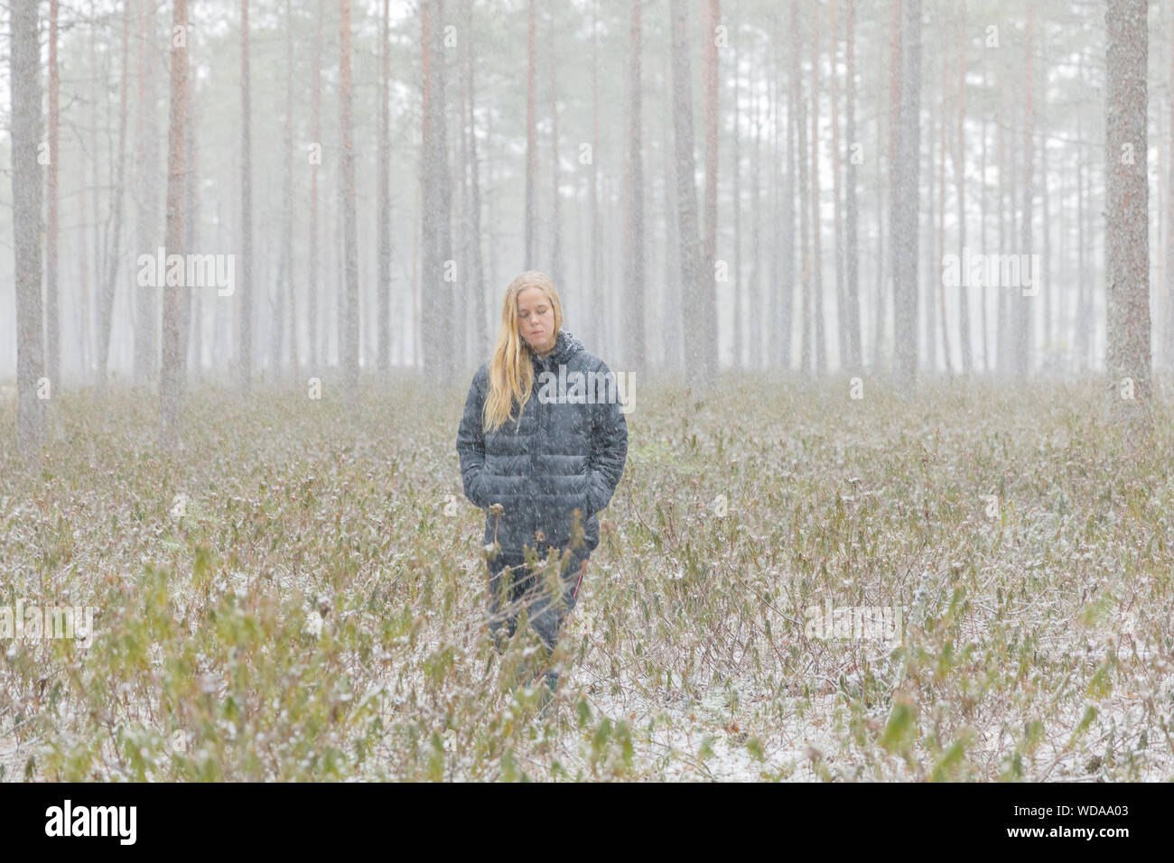 Walking through snowy forest hi-res stock photography and images - Alamy