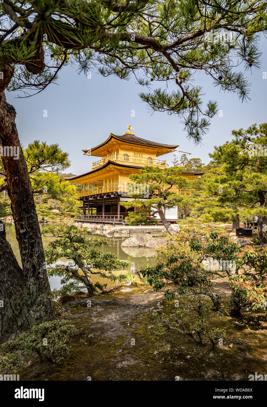 Kinkakuji, Golden Pavilion, Kyoto, Japan Stock Photo Alamy