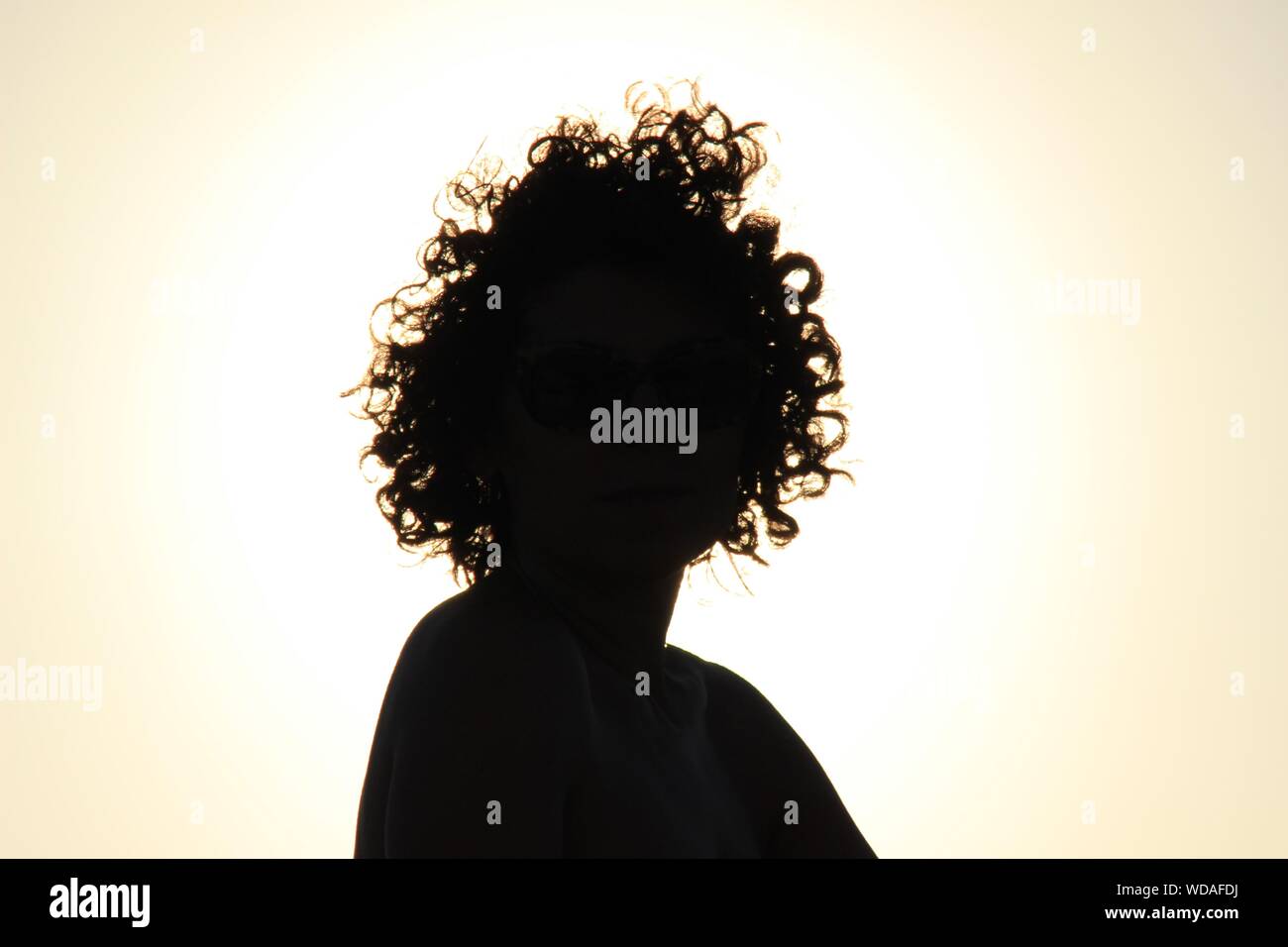 Silhouette Woman With Curly Hair Against Sky During Sunset Stock Photo