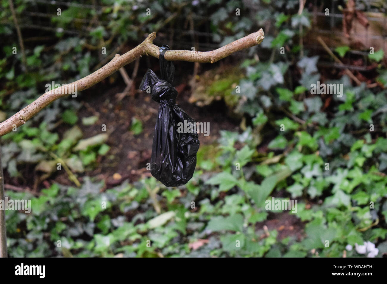 Stick bag hires stock photography and images Alamy