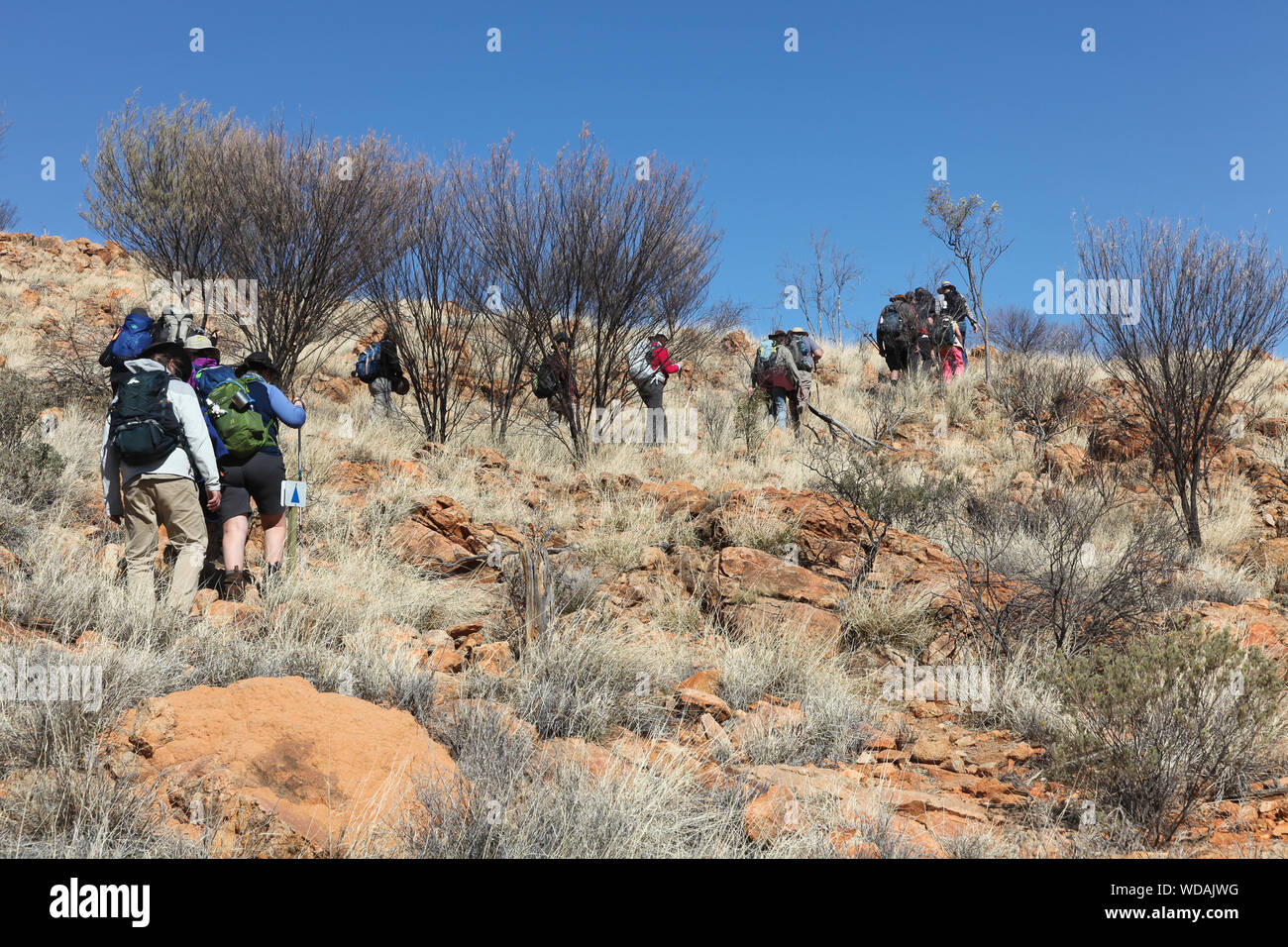 Group of trekkers, Euro Ridge, Larapinta Trail, West McDonnell Ranges, Northern Territory, Australia Stock Photo