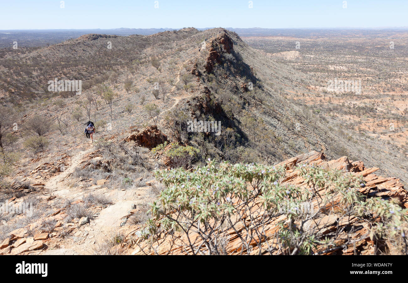 Trekker on Euro Ridge, Larapinta Trail, West McDonnell Ranges, Northern Territory, Australia Stock Photo