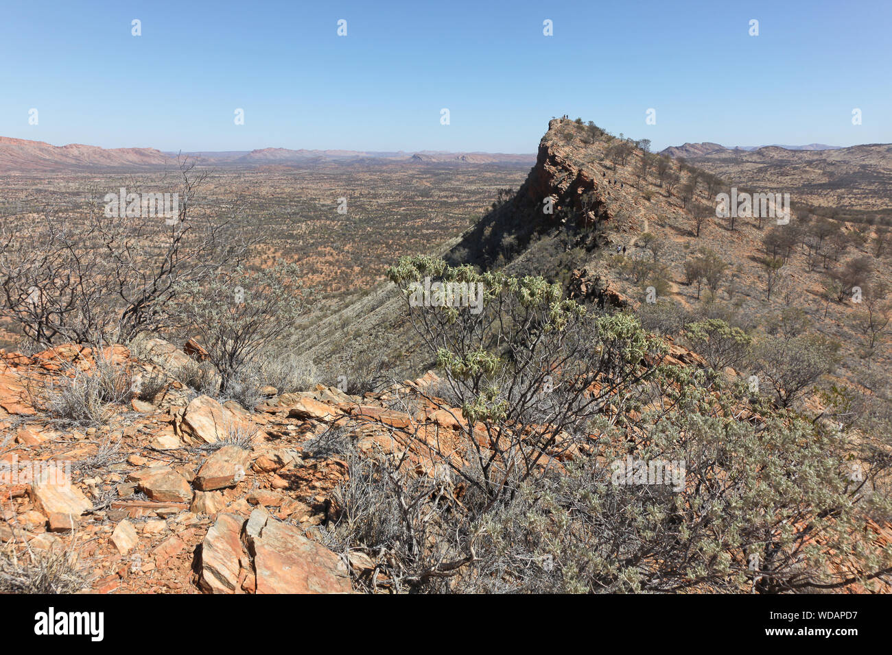 Euro Ridge, Larapinta Trail, West McDonnell Ranges, Alice Springs, NT, Australia Stock Photo