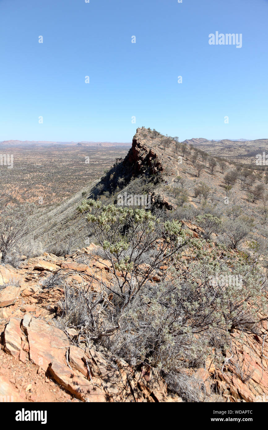 Euro Ridge, Larapinta Trail, West McDonnell Ranges, Alice Springs, NT, Australia Stock Photo