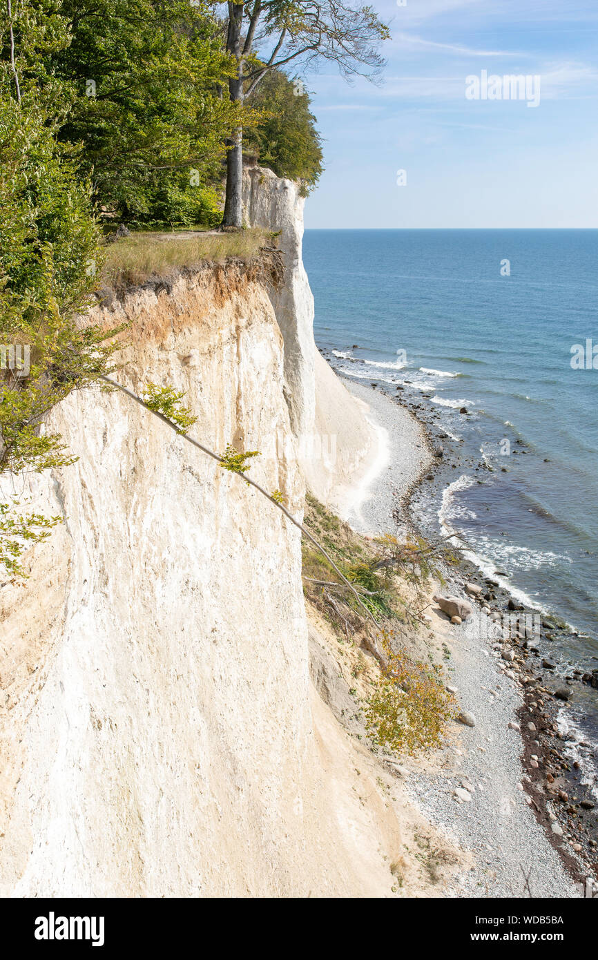 Chalk cliffs on the island Rugen (Rugia). The German Baltic Sea coast ...