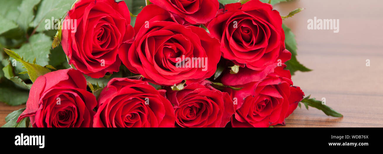 Close-up Of Red Roses Stock Photo