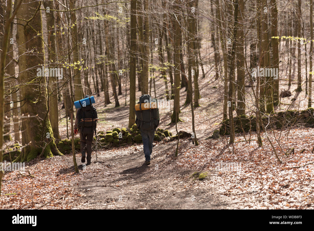 Hiking in forest hi-res stock photography and images - Alamy