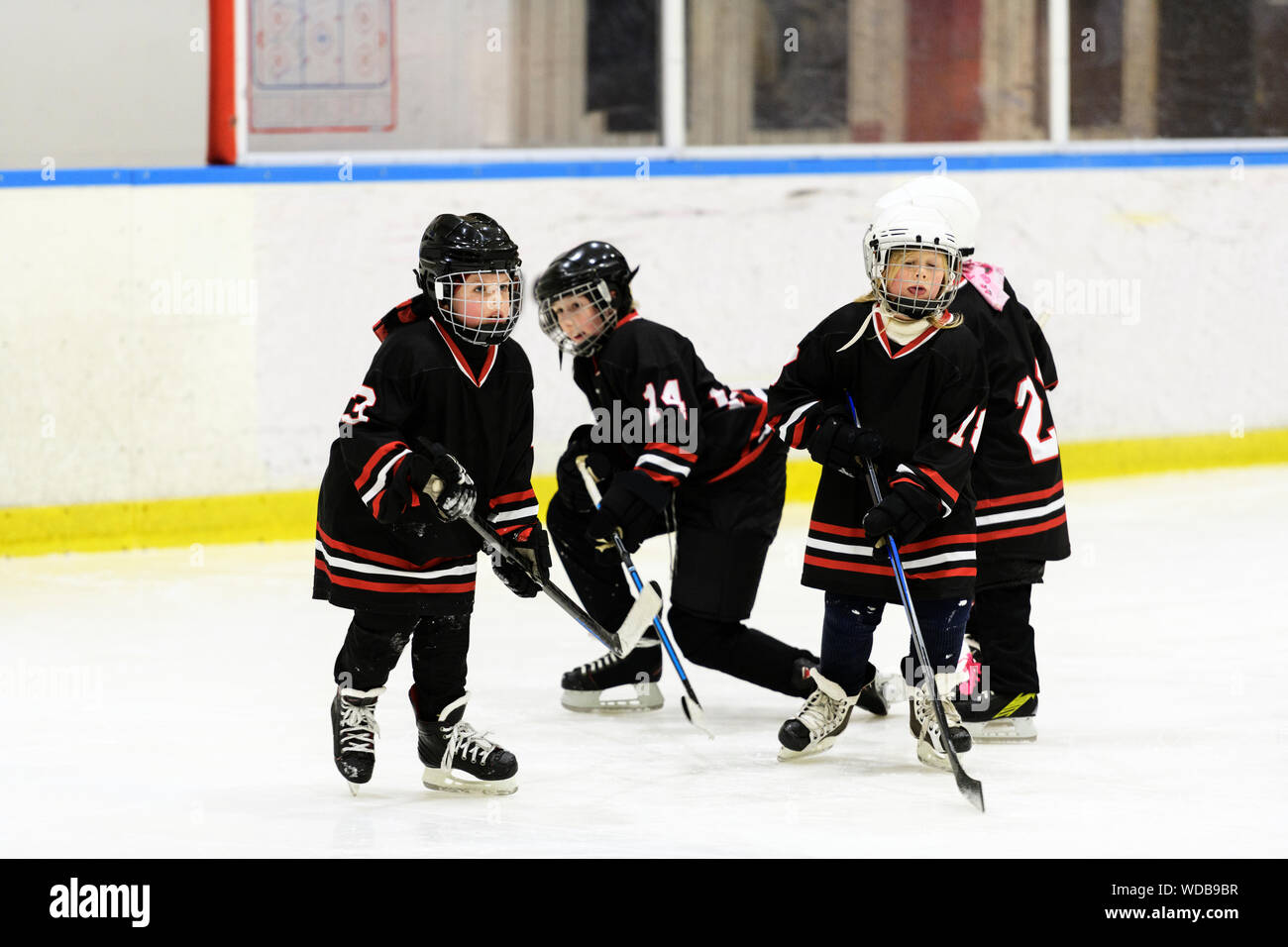 Hockey skating hires stock photography and images Alamy