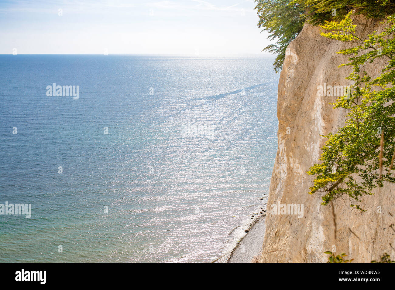 Chalk cliffs on the island Rugen (Rugia). The German Baltic Sea coast ...