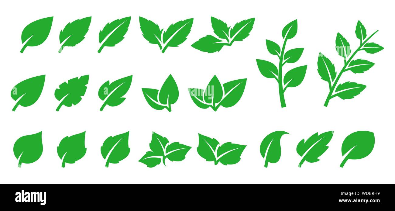Green leaf set Stock Vector Image & Art - Alamy