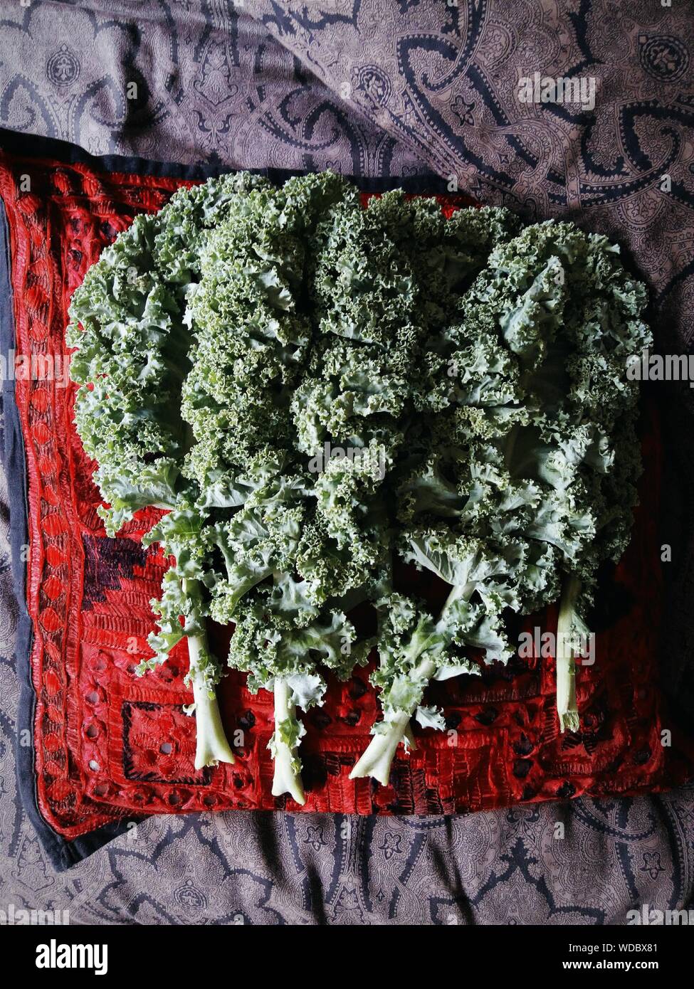 Overhead View Of Kale Leaves On Cushion Stock Photo