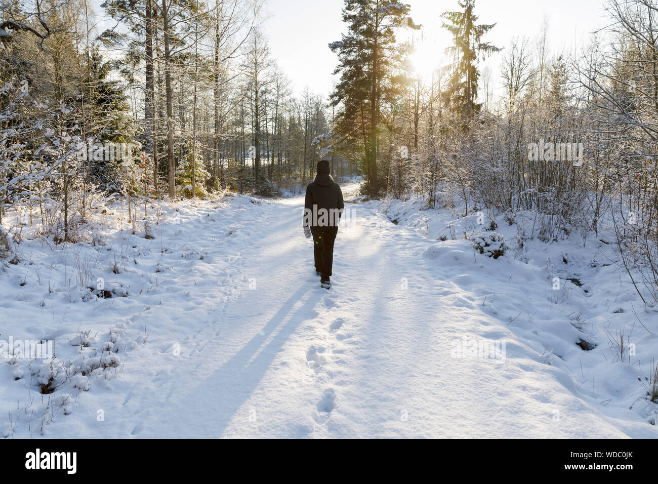 Mature woman walking forest hi-res stock photography and images - Alamy