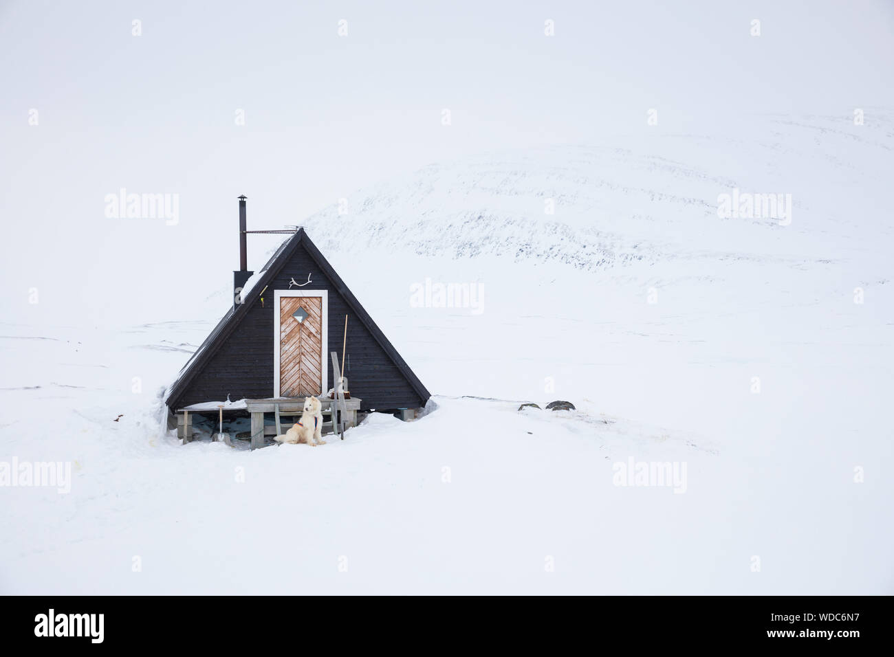 Dog outside A-frame cabin in snow Stock Photo