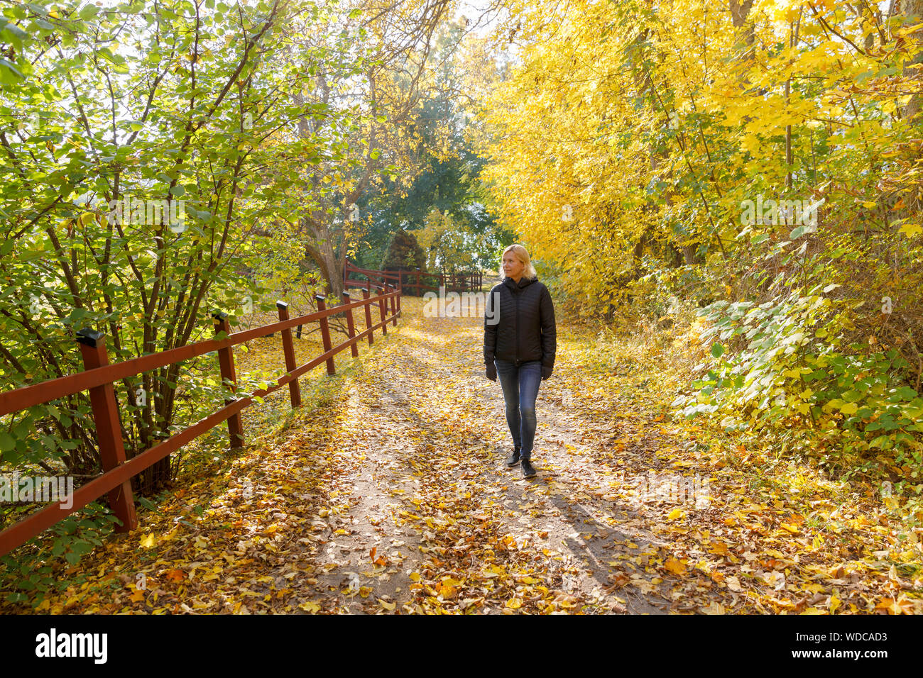 Mature woman in forest hi-res stock photography and images - Alamy