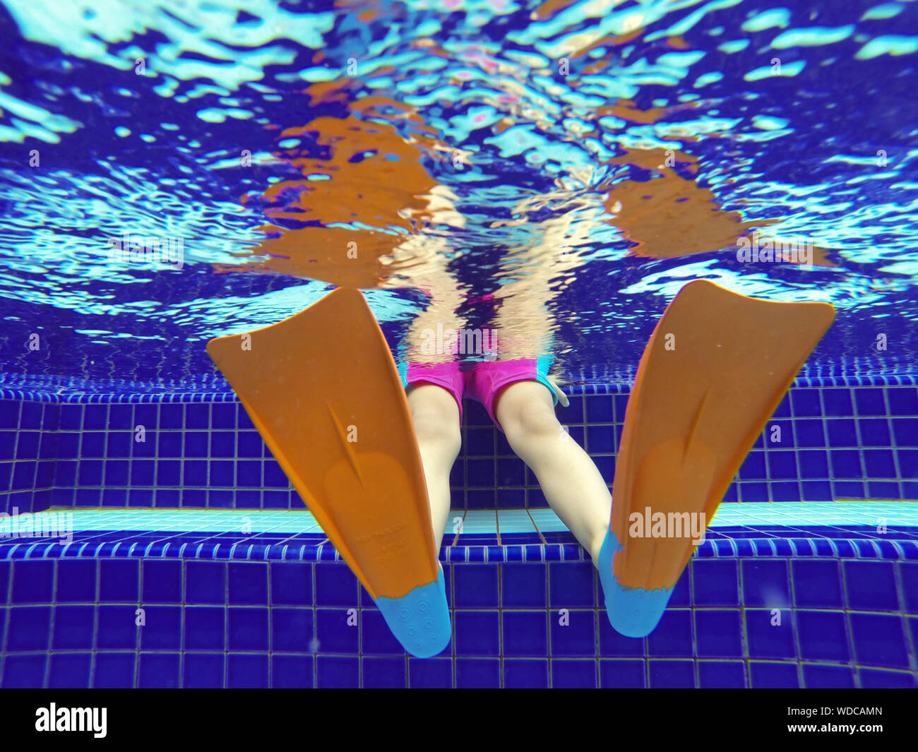 Low Angle View Of Person Wearing Diving Flipper In Swimming Pool Stock