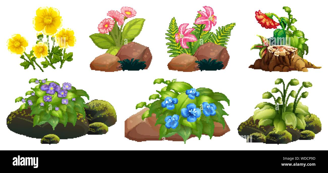 Large set of colorful flowers on rocks and wood illustration Stock Vector