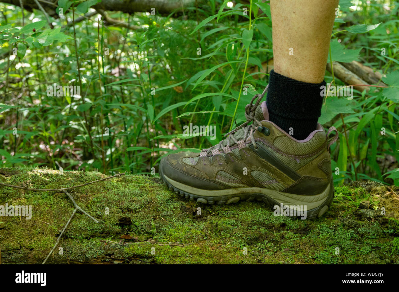 woman's foot and leg with hiking boot Stock Photo Alamy