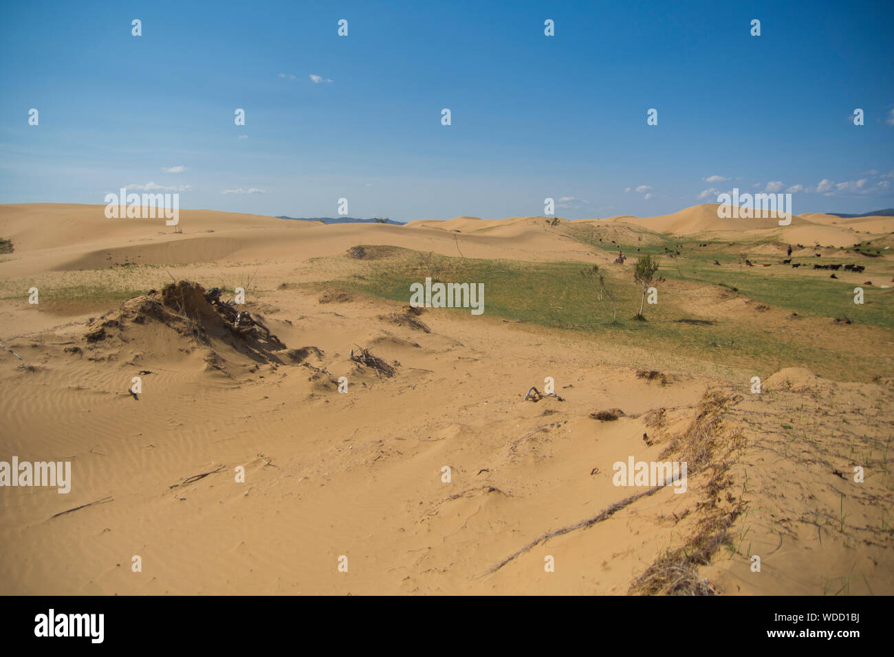 Dunes in Mongolia Stock Photo - Alamy