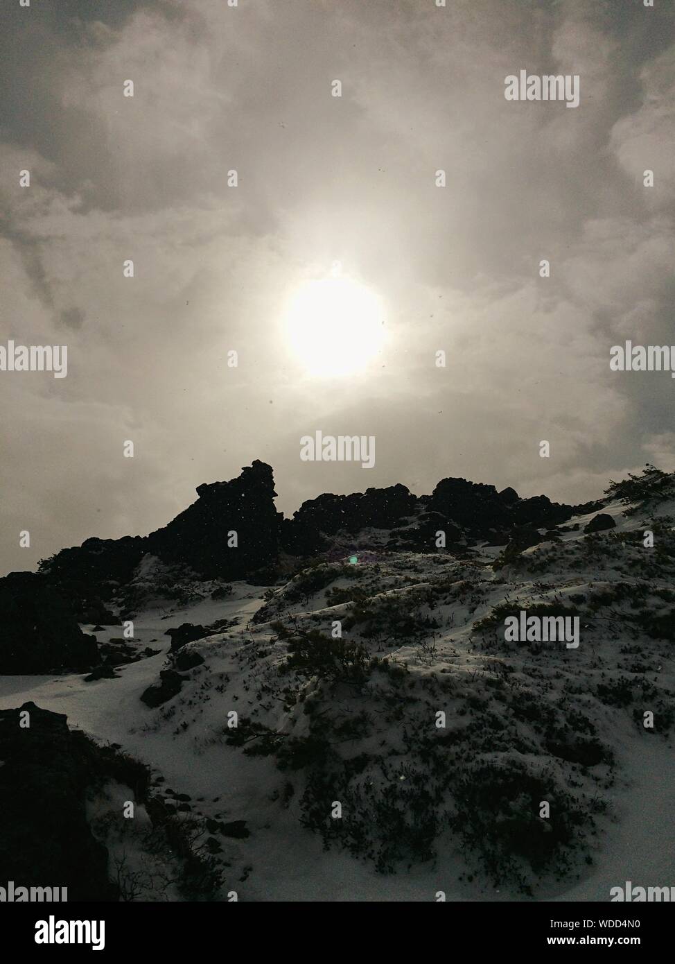 Adatara Hi Res Stock Photography And Images Alamy