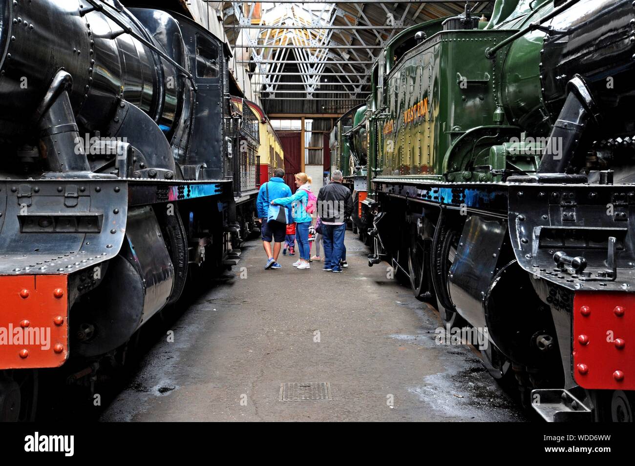 Visitors examine steam lcomotives in the engine shed at Didcot Railway Centre, Oxfordshire Stock Photo