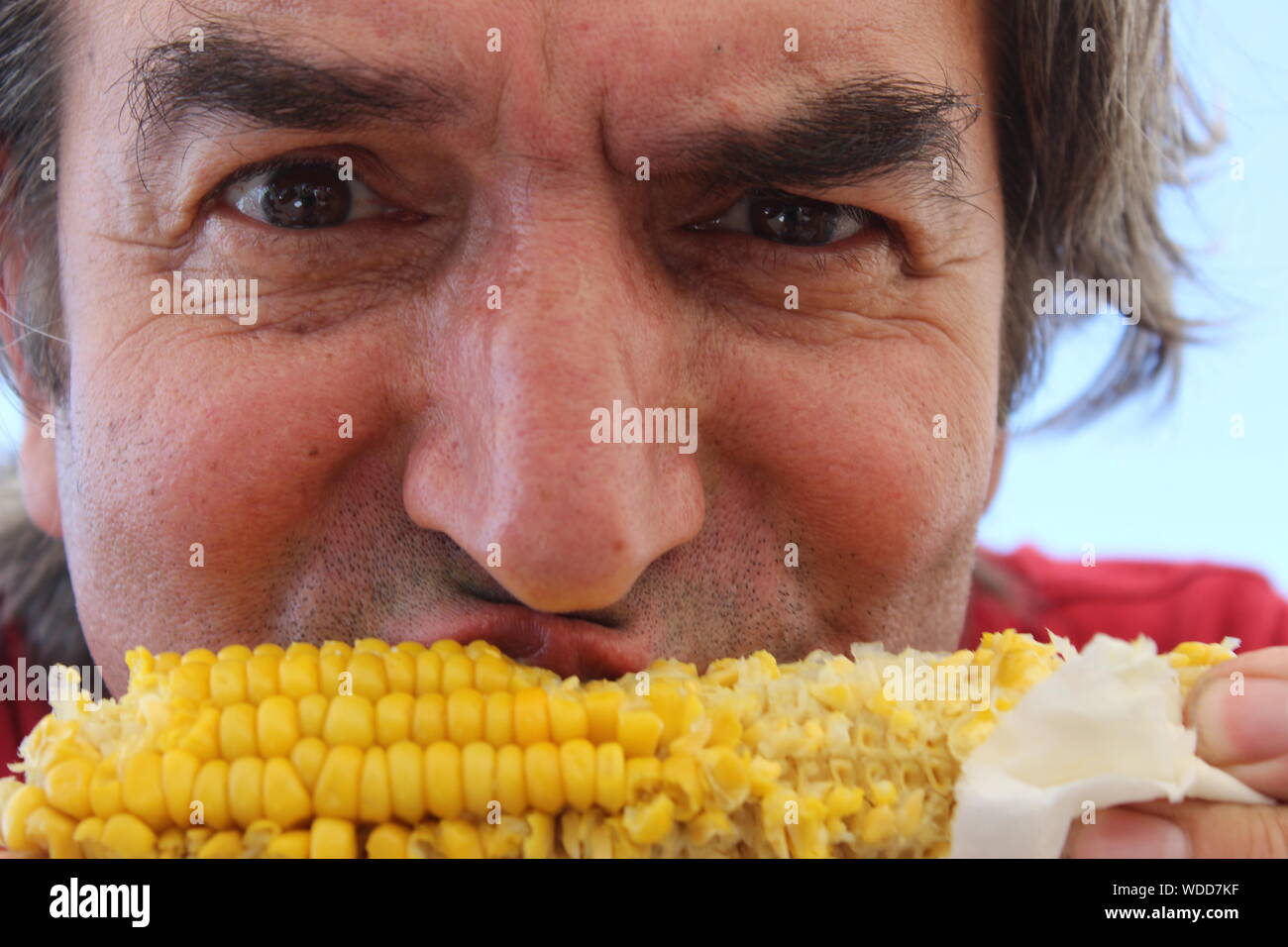 Man eating corn on the cob hires stock photography and images Alamy