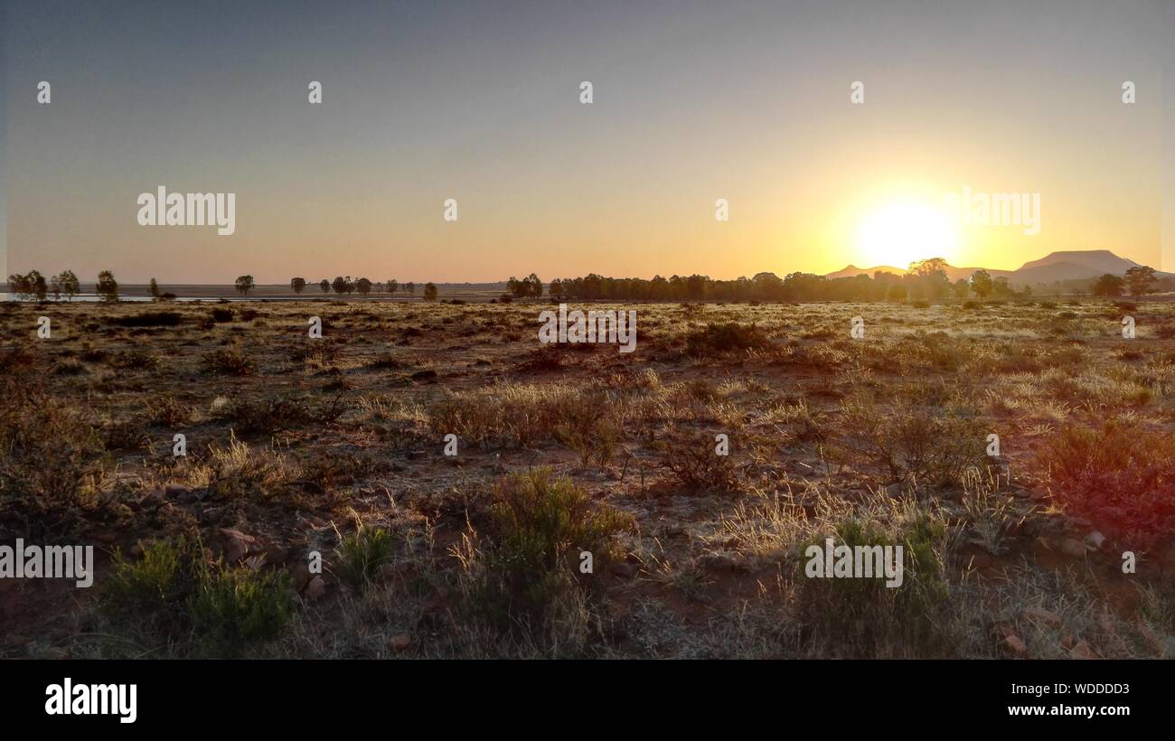 South African Landscape Against Clear Sky During Sunset Stock Photo