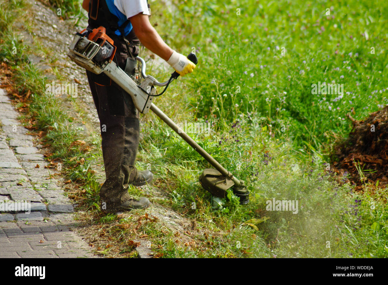 Low Section Man Cutting Grass With Strimmer In Yard Stock Photo