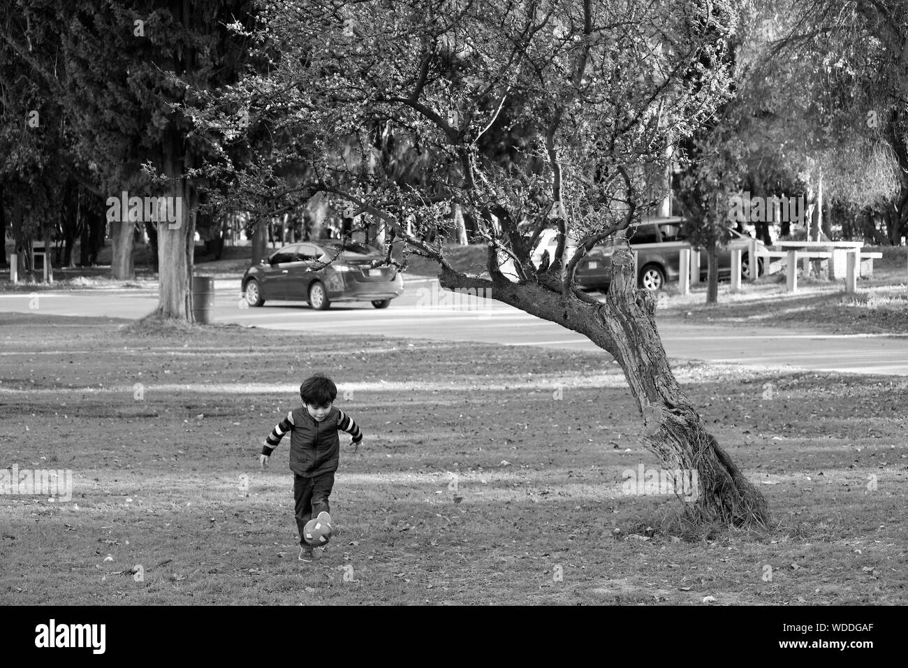 One child playing in park hi-res stock photography and images - Alamy
