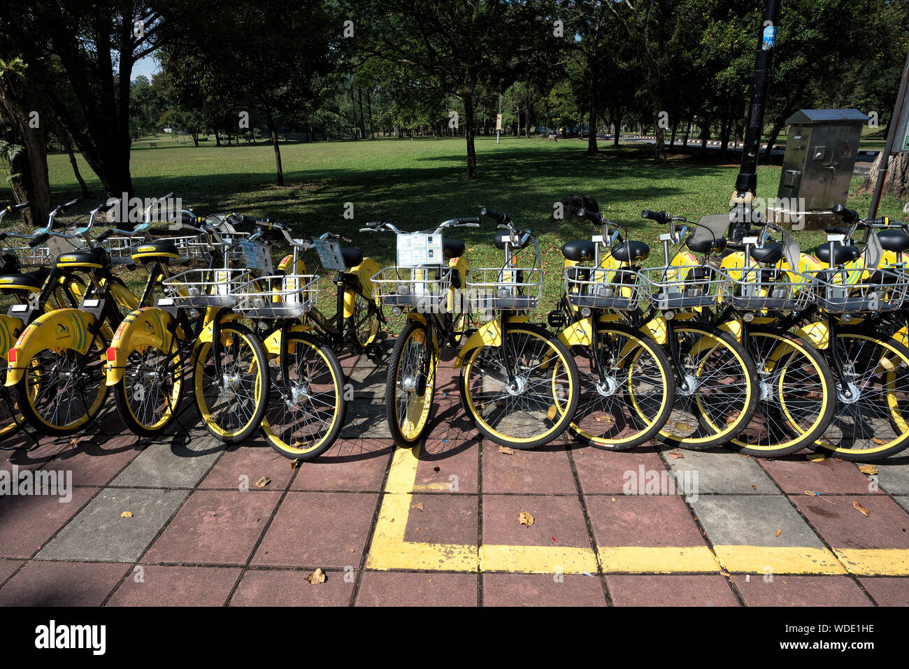 Taiping, Malaysia - 22 Jun, 2018: Bicycle-sharing service for 