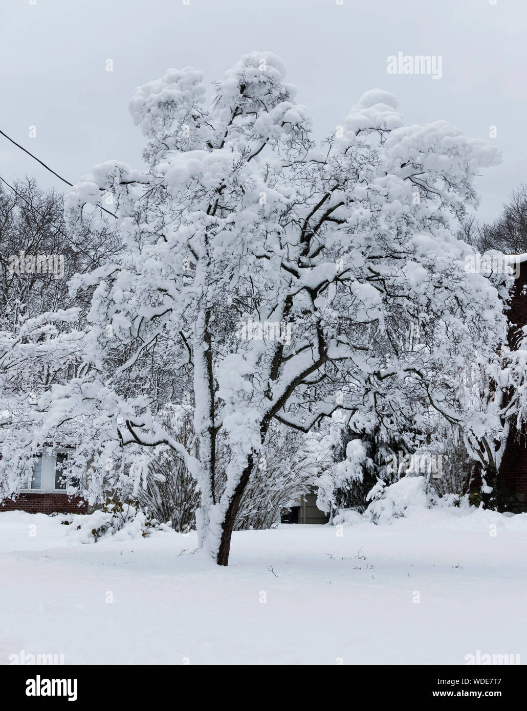 Winter Storm Long Island 2018