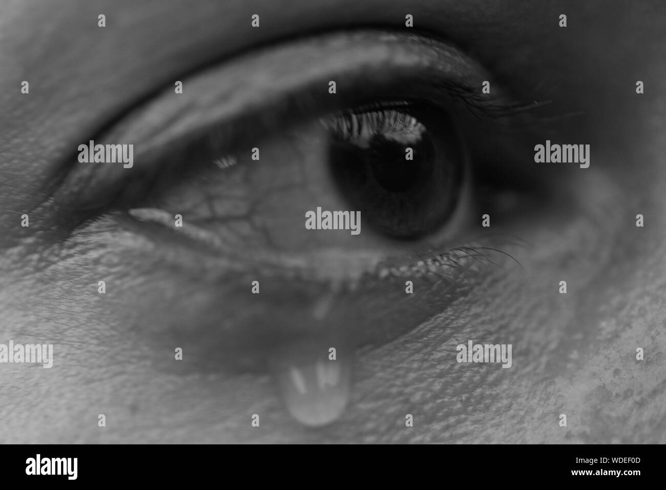 Crying eye hires stock photography and images Alamy