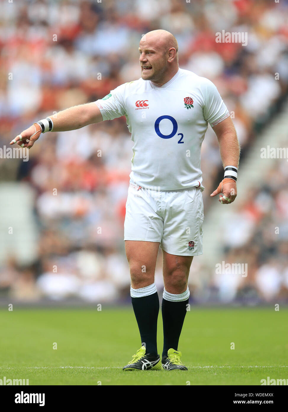England’s Dan Cole Stock Photo - Alamy