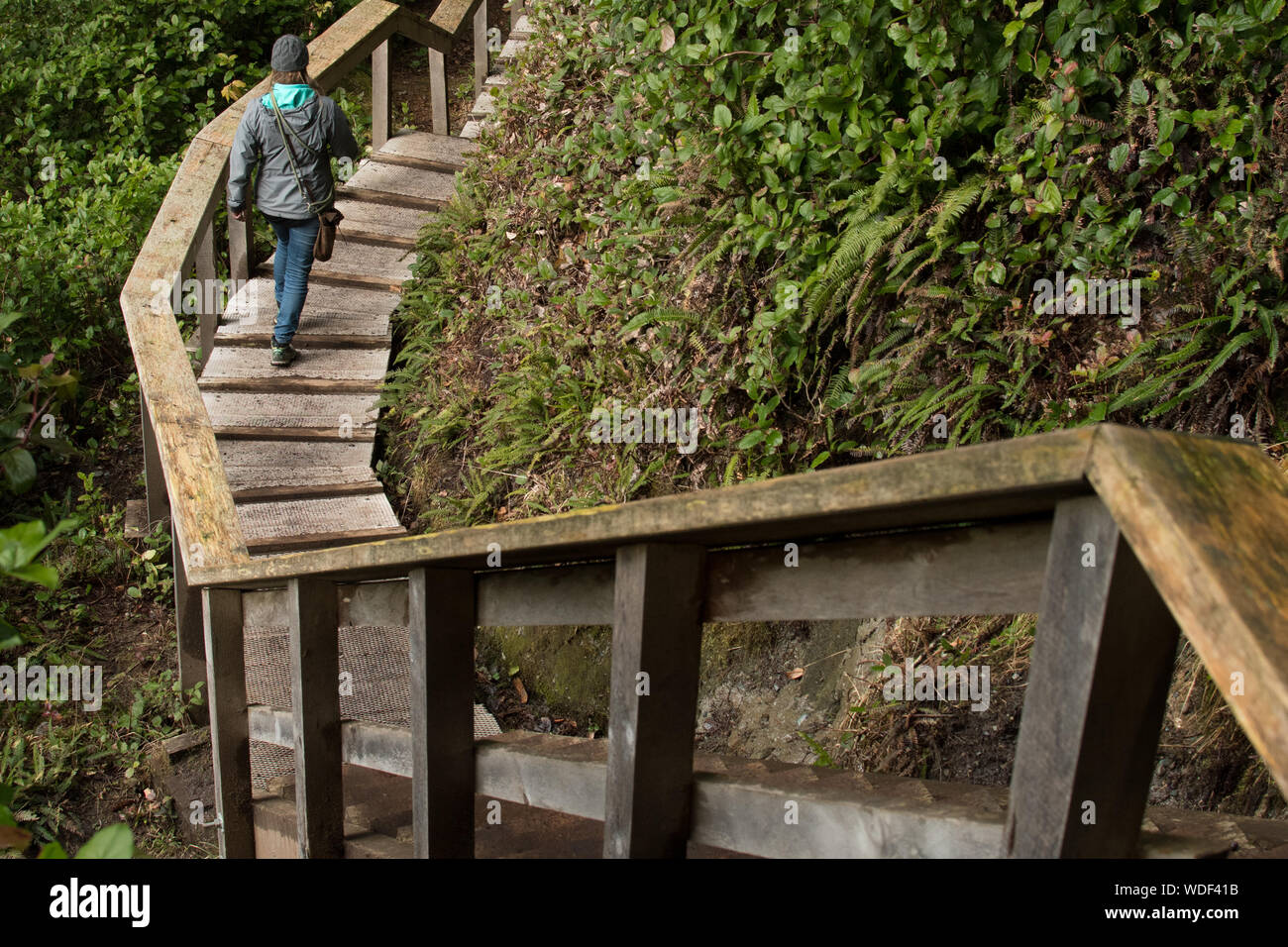 Walking down steps nature hi-res stock photography and images - Alamy