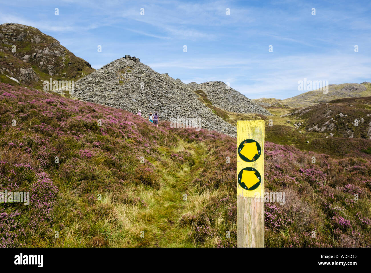 Public footpath direction sign arrows on heather moorland with hikers