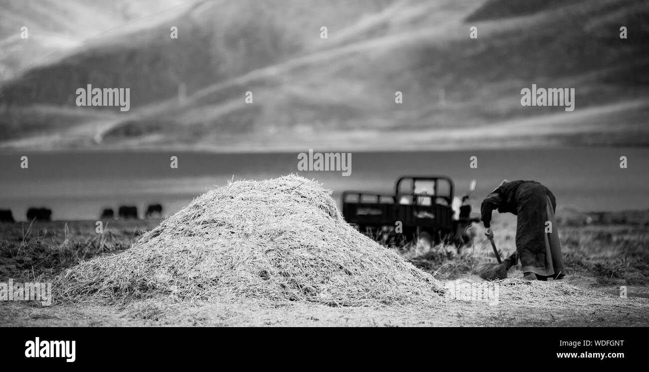 Farmer Black and White Stock Photos & Images - Alamy