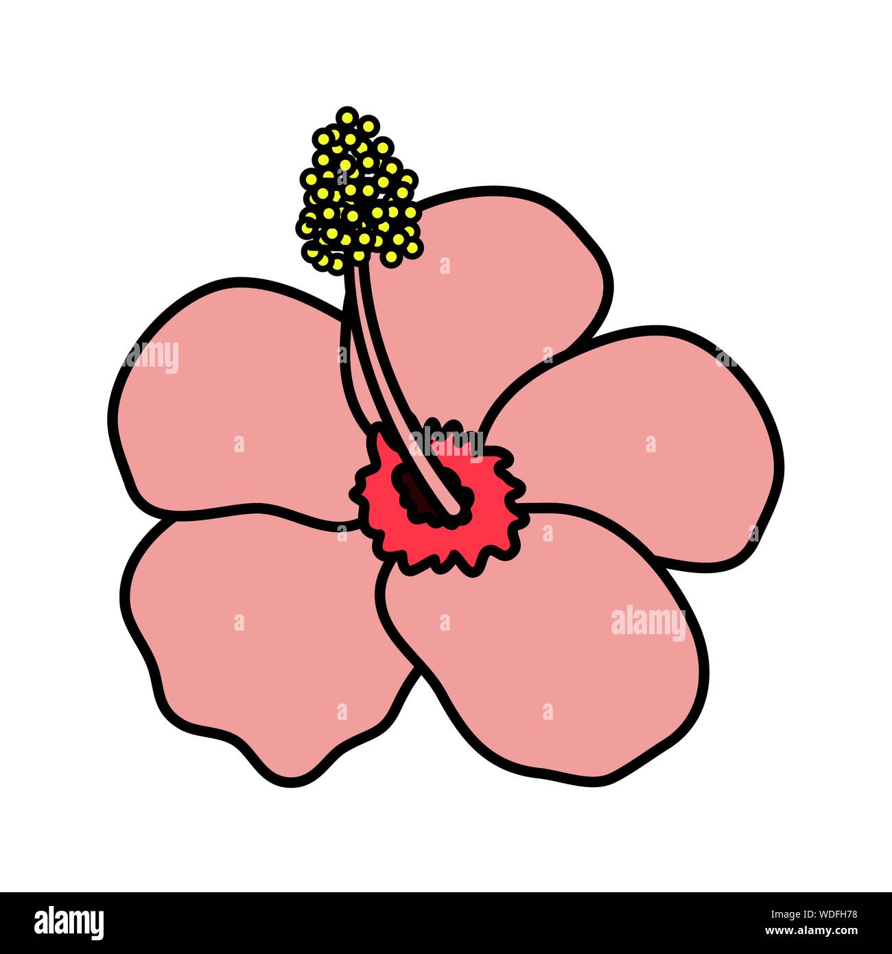 exotic and tropical flower garden vector illustration design Stock ...