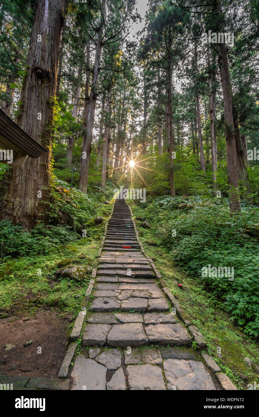 Sunset, Stone path and Sugi trees or Japanese Cedar (Cryptomeria japonica) forest at Mount Haguro, One of the three sacred mountains of Dewa Province Stock Photo