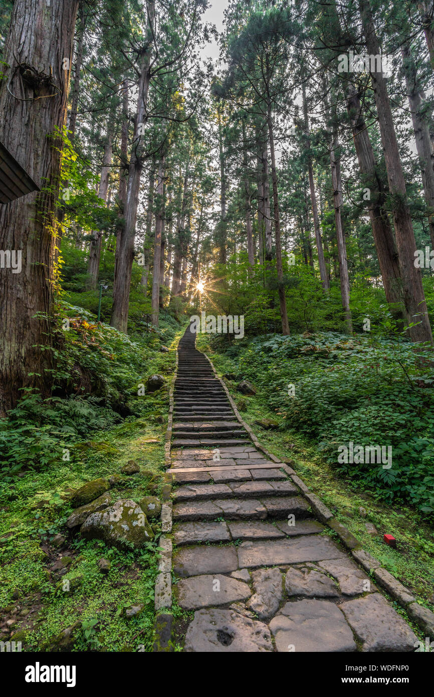 Sunset, Stone path and Sugi trees or Japanese Cedar (Cryptomeria japonica) forest at Mount Haguro, One of the three sacred mountains of Dewa Province Stock Photo