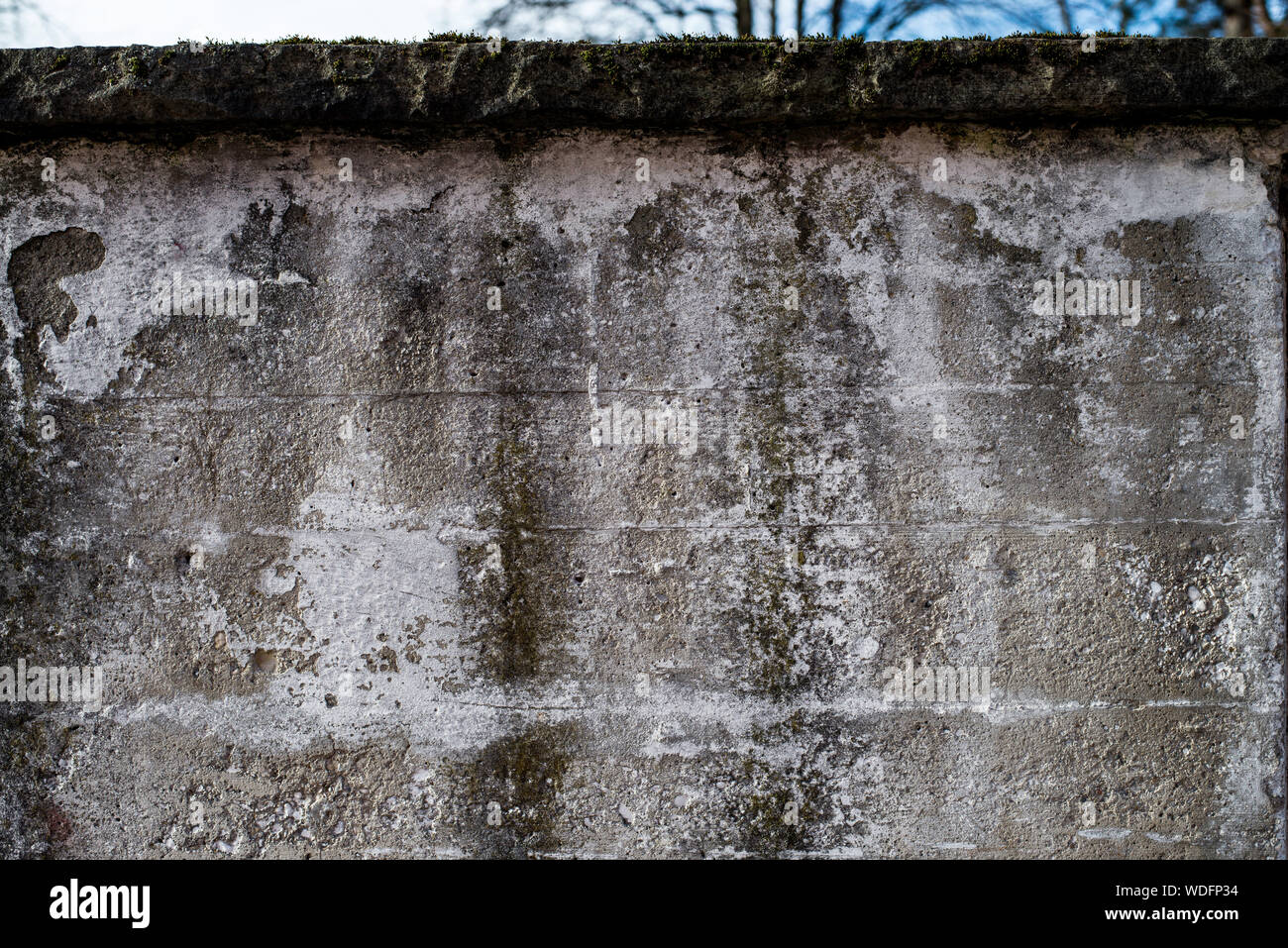 Old Concrete Wall Stock Photo