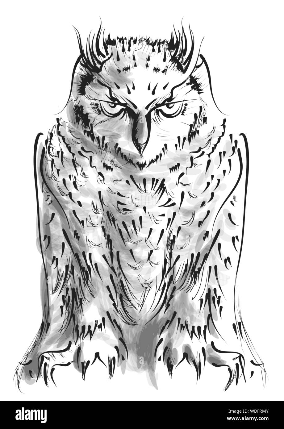 owl isolated on white background. vector illustration Stock Vector ...